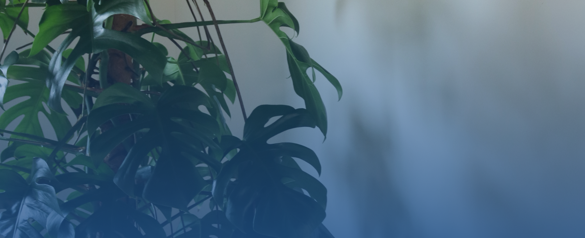 Background Header Background Header